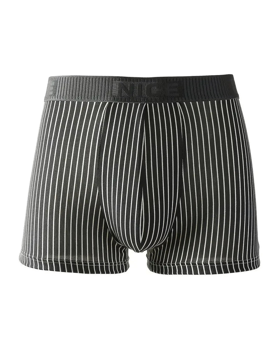 Men's Pinstripe Boxer Briefs – black striped boxer, front