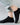 Plain Cotton Ankle Socks – black socks worn