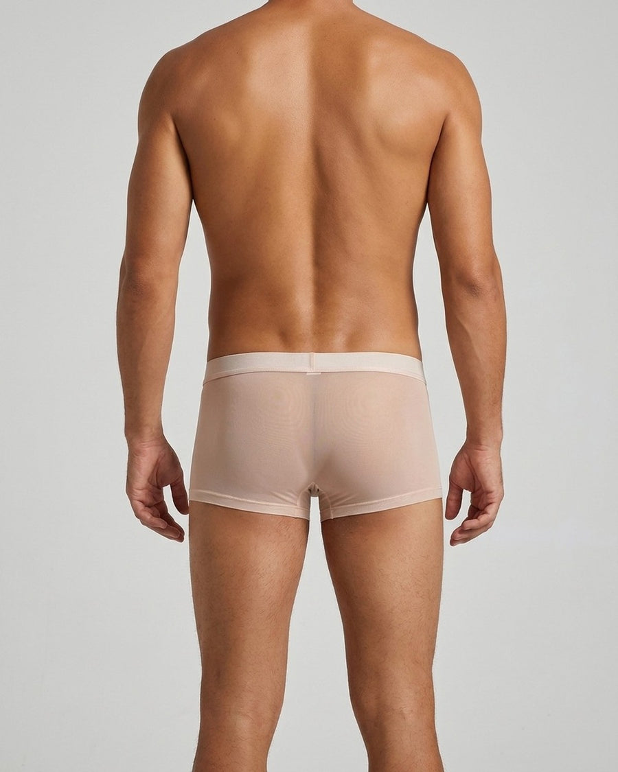 Men's Sheer Silky Microfibre Boxer Briefs – worn, back view