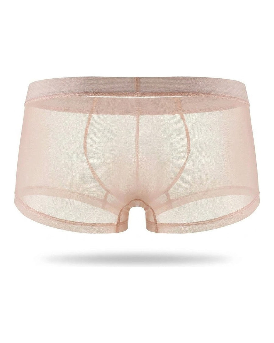 Men's Sheer Silky Microfibre Boxer Briefs – back