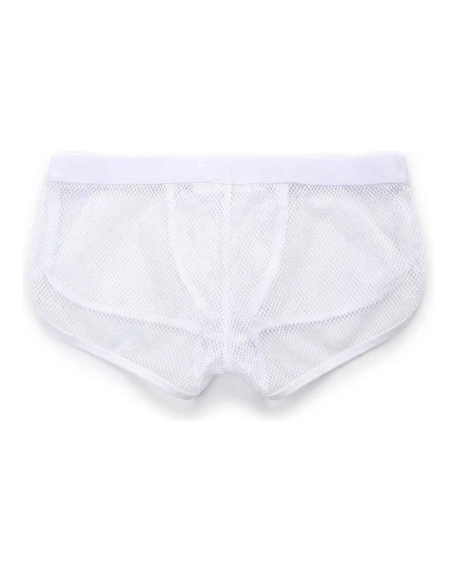 Men's Sheer Mesh Pouch Boxer Briefs – back