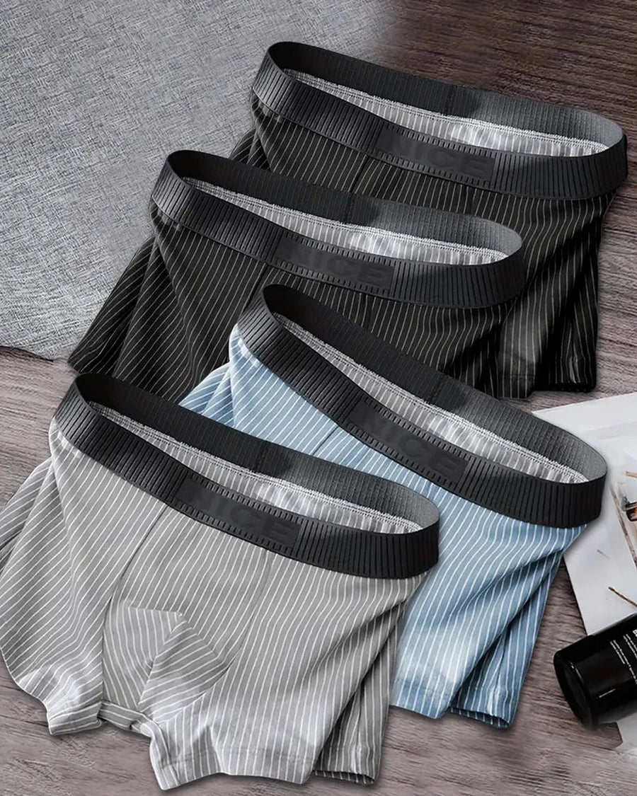 Men's Pinstripe Boxer Briefs – the striped boxers spread out, other combination