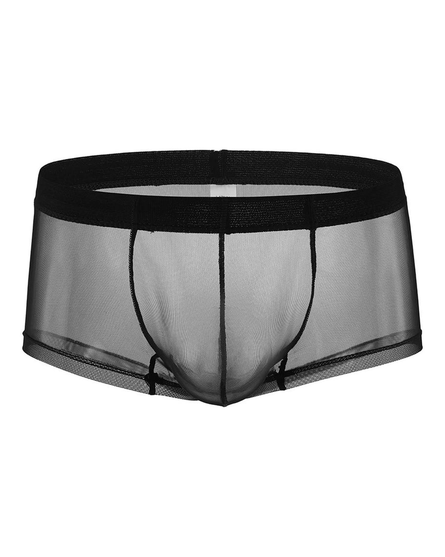 Men's Sheer Silky Microfibre Boxer Briefs – front