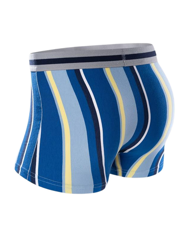 SÆT MED 5 STRIBEDE HERREBOKSERSHORTS - BLØDE OG SØMLØSE