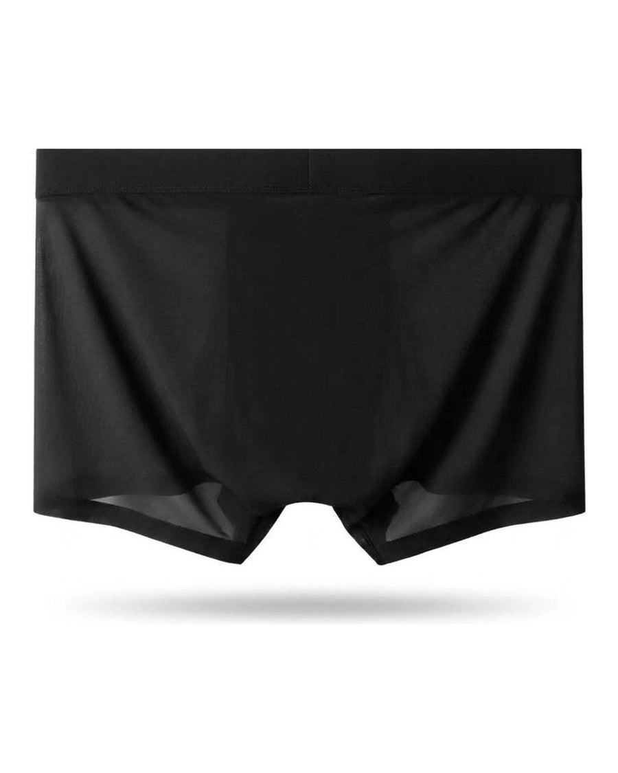 Men's Seamless Thin Silky Microfibre Boxer Briefs – back