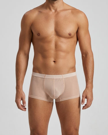 Men's Sheer Silky Microfibre Boxer Briefs – worn, front view