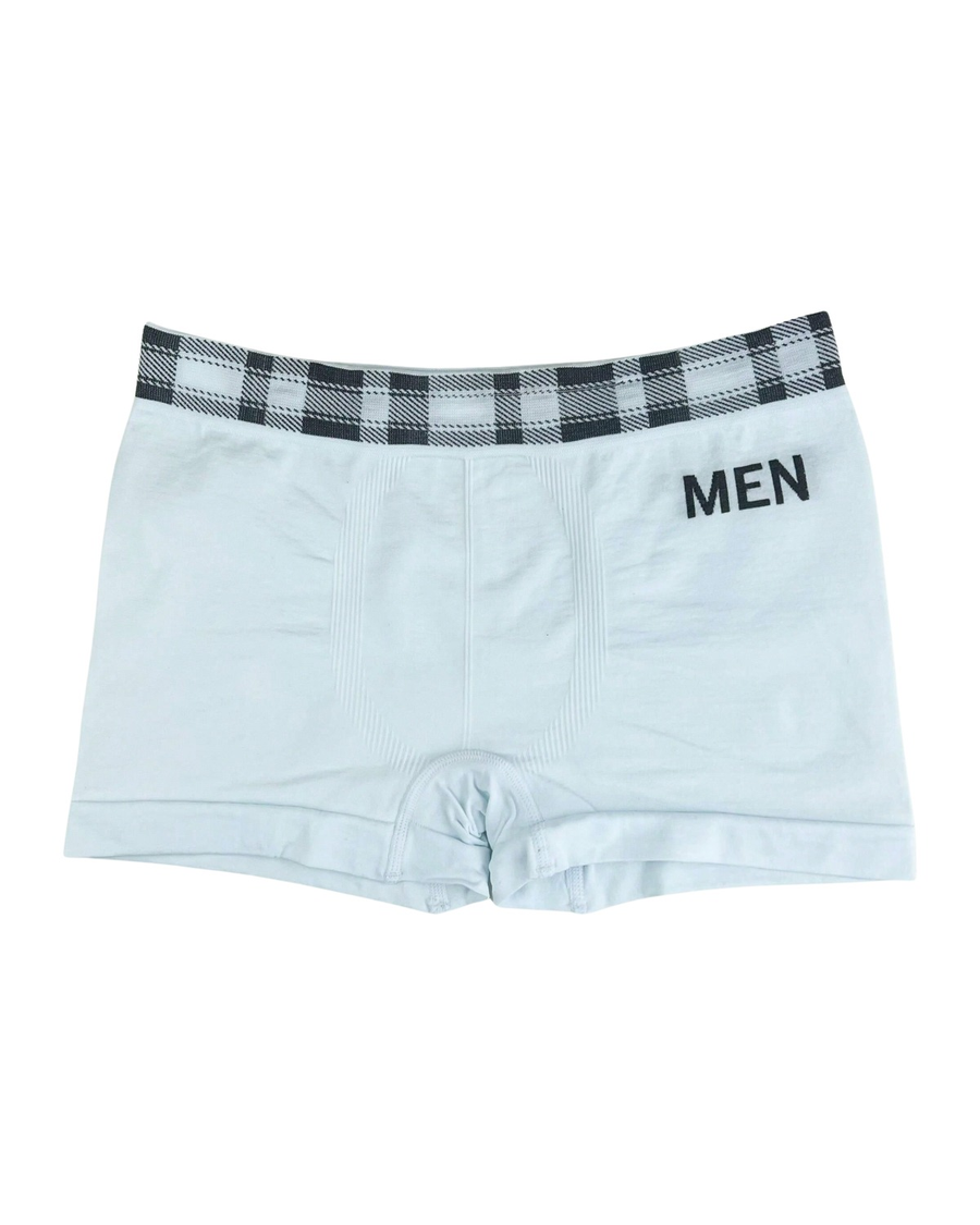 Men's Seamless Boxer Briefs with Check Waistband – ice white boxer, front