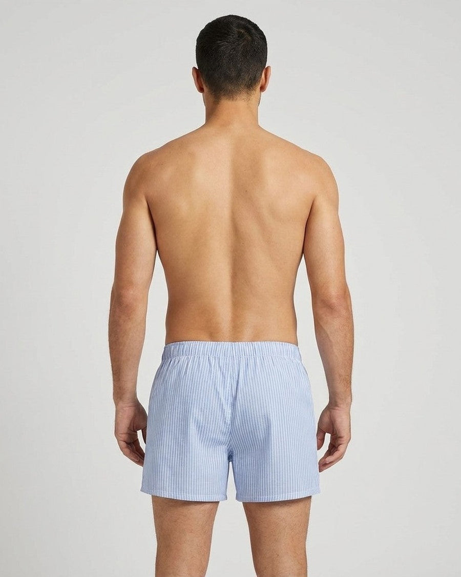 Løse herreboxershorts i bomuld med tern og striber – båret, set bagfra